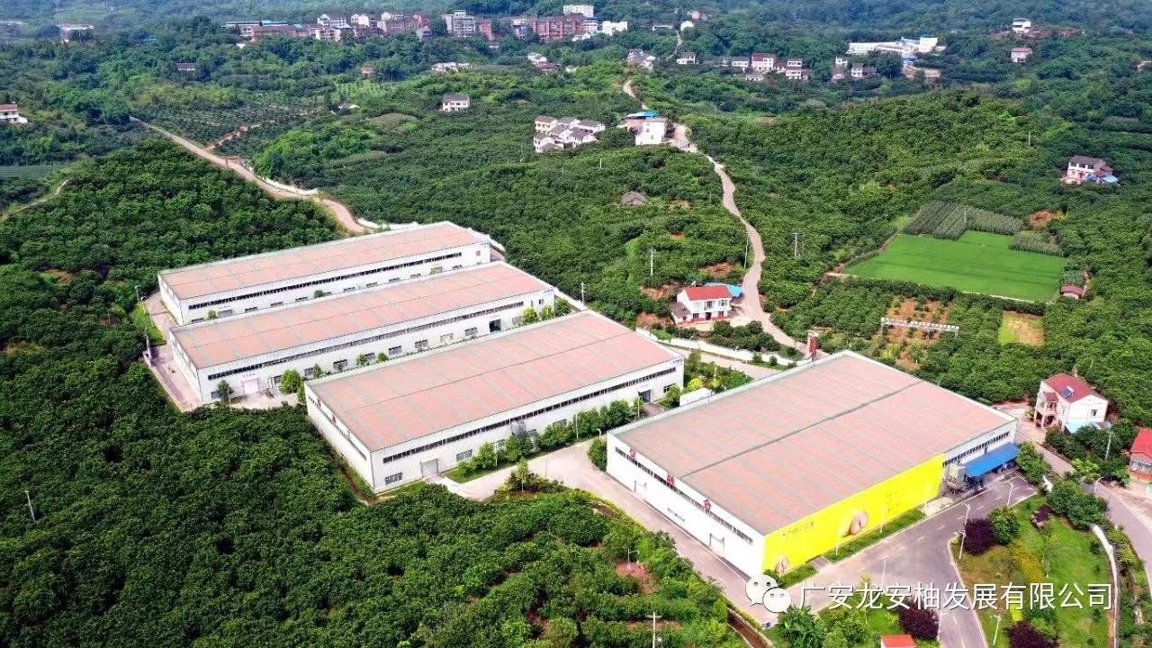 公司簡介
